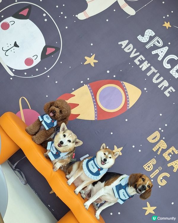 尖咀旗艦店開幕🎉！毛孩迪士尼樂園等你嚟玩！🐶🏰