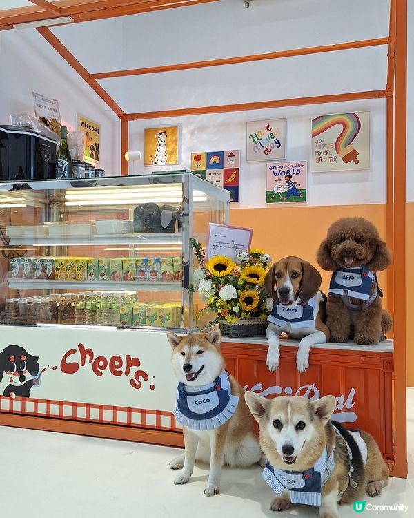 尖咀旗艦店開幕🎉！毛孩迪士尼樂園等你嚟玩！🐶🏰