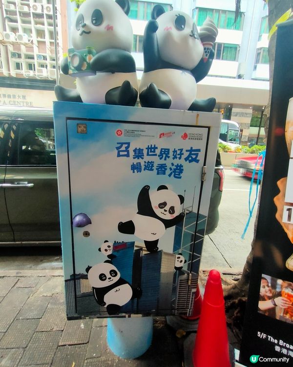 熊貓信箱打卡📸！公爵大廈打卡勁方便！🐼🍦📮