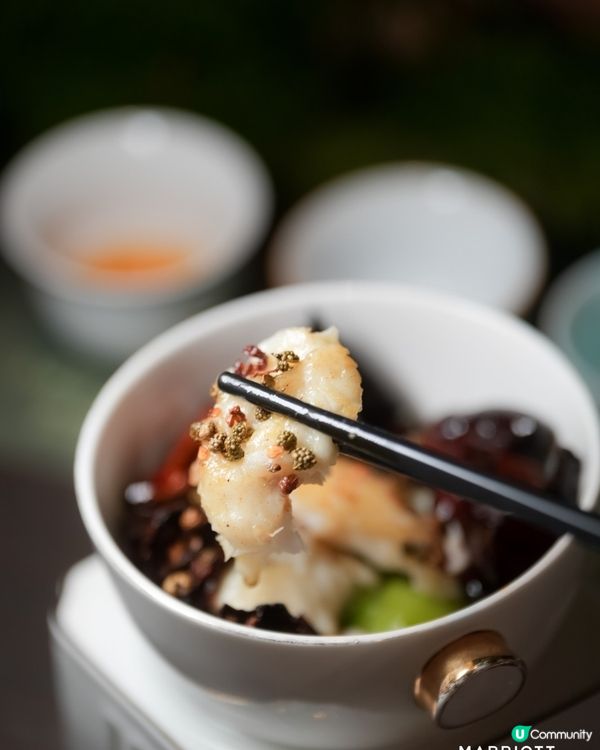 萬豪「萬味奇遇」：巡味茶膳，食得過癮😋！