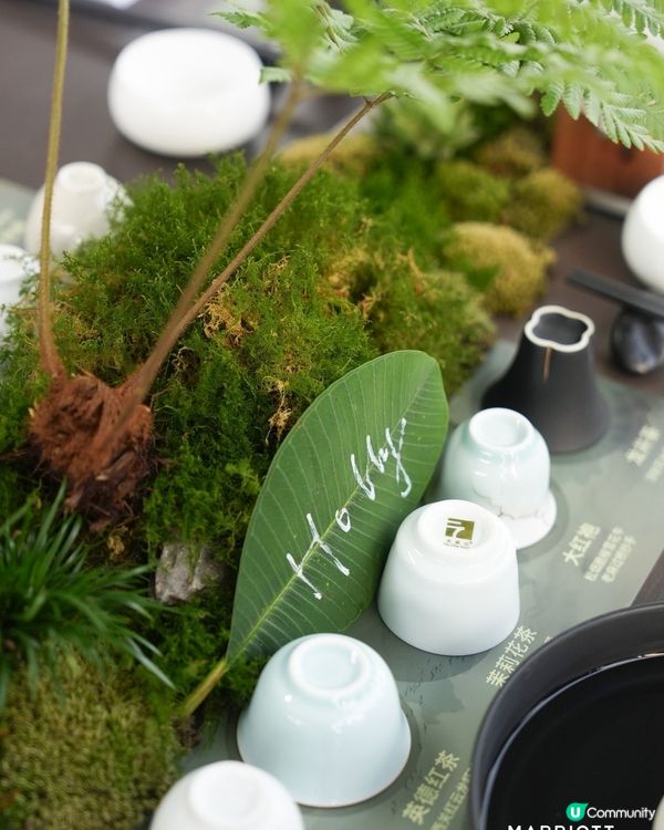 萬豪以茶入饌！🍵 廣州酒店美食之旅！😋