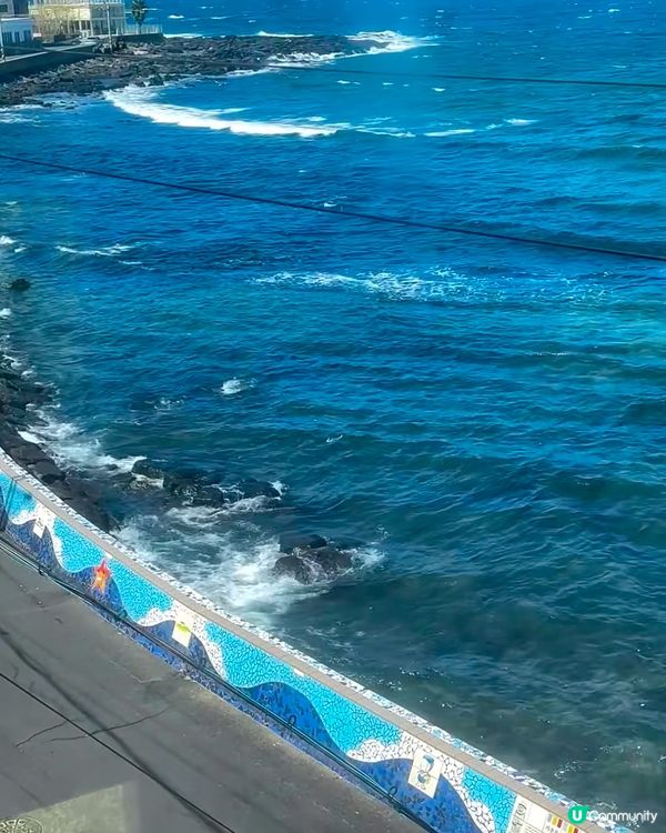 濟州海景黑豬肉🤤！正到爆！🌊🐷