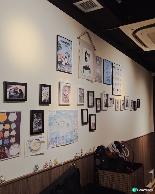 牛頭角美食 | 貓控必試雞白湯拉麵店