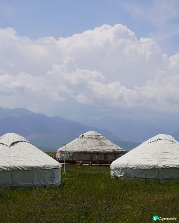 喀拉峻家訪記｜馬牛羊都在度假，我也想留下來