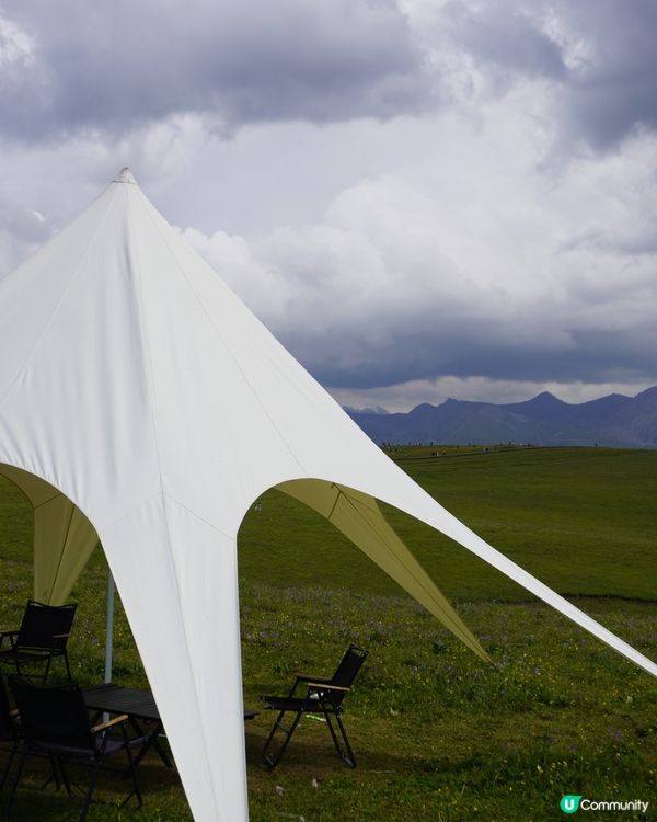 喀拉峻家訪記｜馬牛羊都在度假，我也想留下來