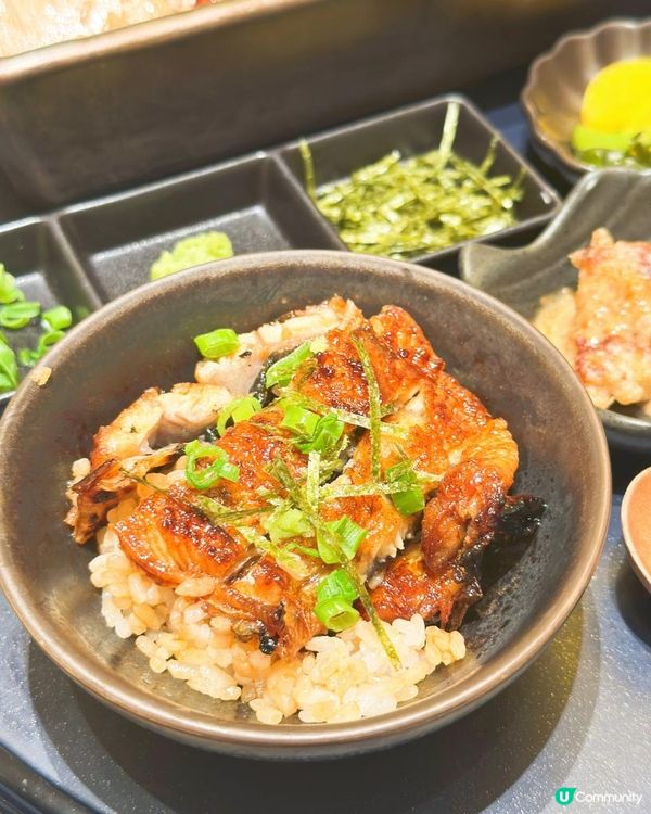 米芝連老字號鰻魚店四代目菊川