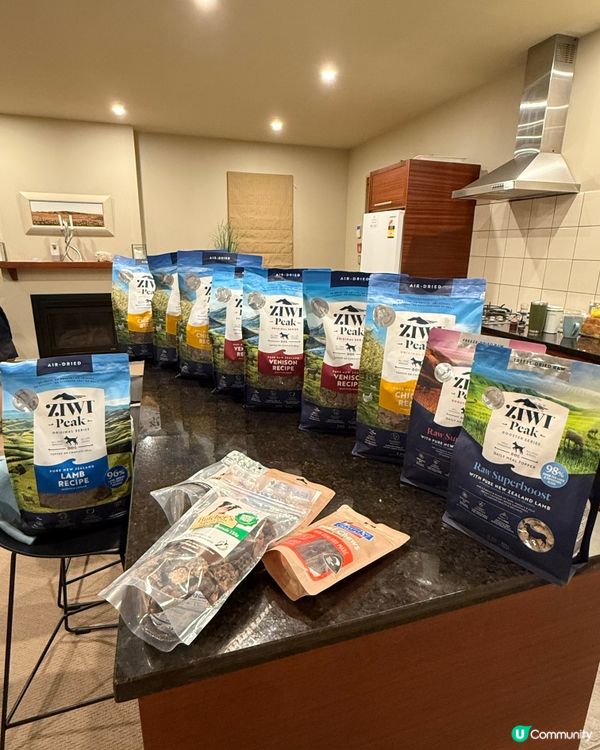 ❤️紐西蘭絕對係寵物天堂💞