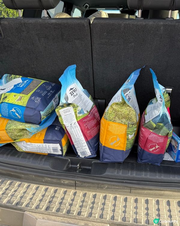 ❤️紐西蘭絕對係寵物天堂💞