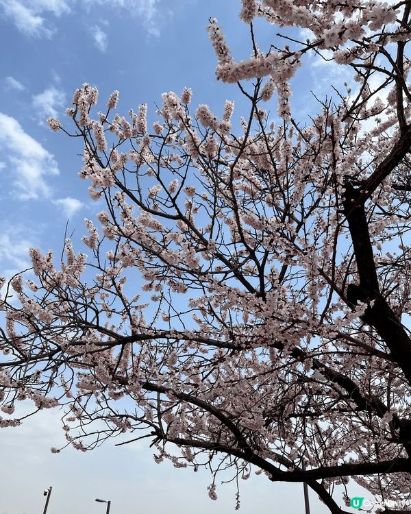 Thanksss U lifestyle app and G...