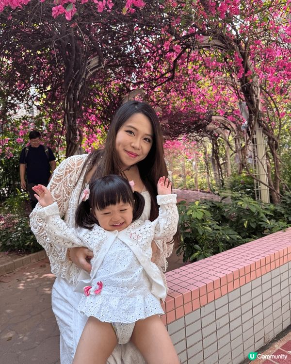 專登知道呢一度盛開嘅粉紅色花徑.非常夢幻非常靚.專登帶埋個女...