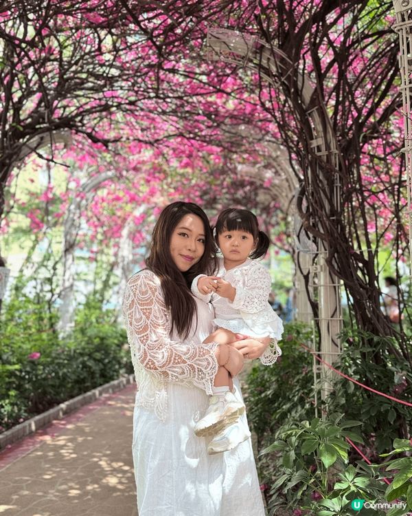 專登知道呢一度盛開嘅粉紅色花徑.非常夢幻非常靚.專登帶埋個女...