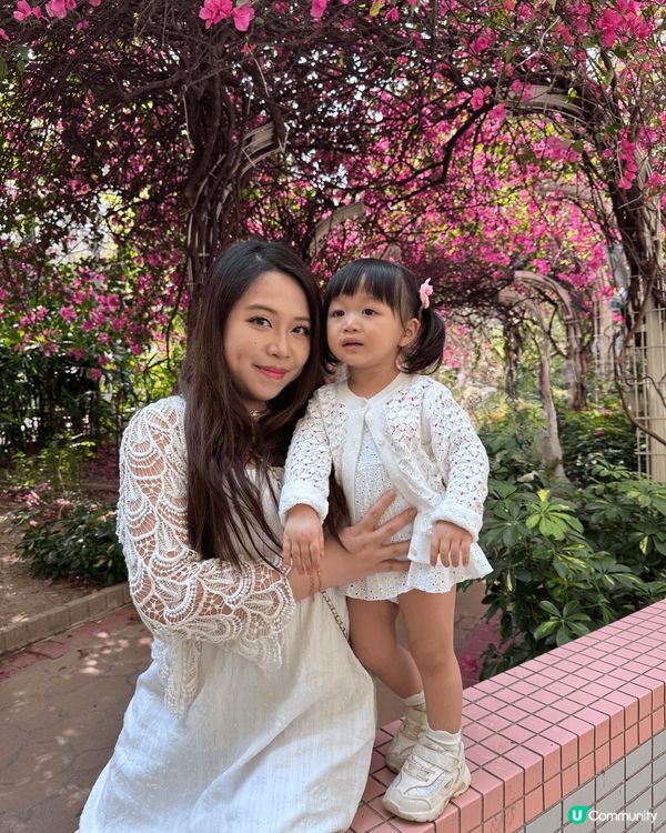 專登知道呢一度盛開嘅粉紅色花徑.非常夢幻非常靚.專登帶埋個女...