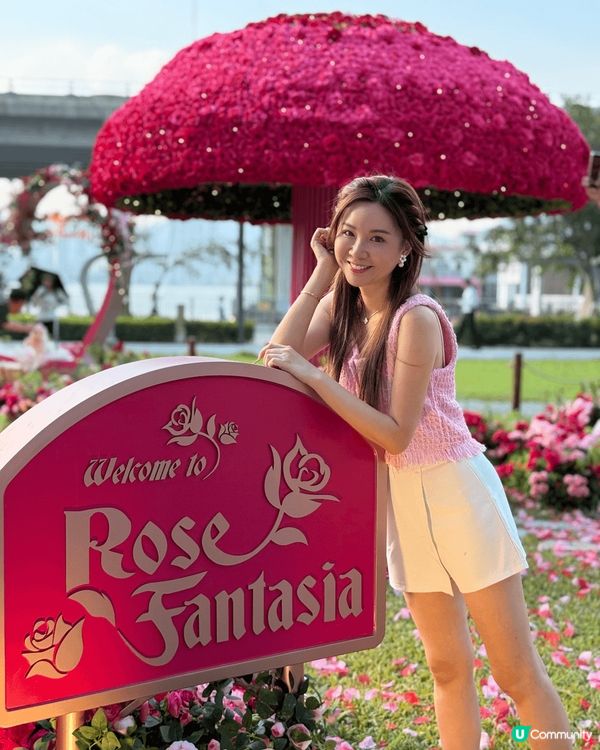 平時每日都會set頭，不論直髮曲髮都一定要搞搞個頭先可以出街...