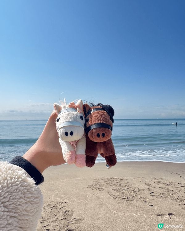 如果去東京，一定要去埋近郊嘅鐮倉！個到嘅海灘真係好靚，有無敵...