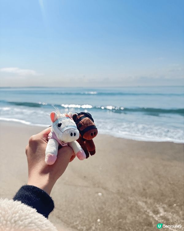 如果去東京，一定要去埋近郊嘅鐮倉！個到嘅海灘真係好靚，有無敵...