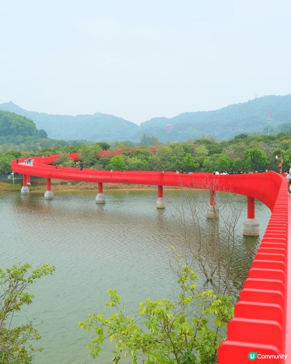 深圳虹橋公園一個非常特別嘅螺旋坡道，公園內仲有多個打卡位，螺...