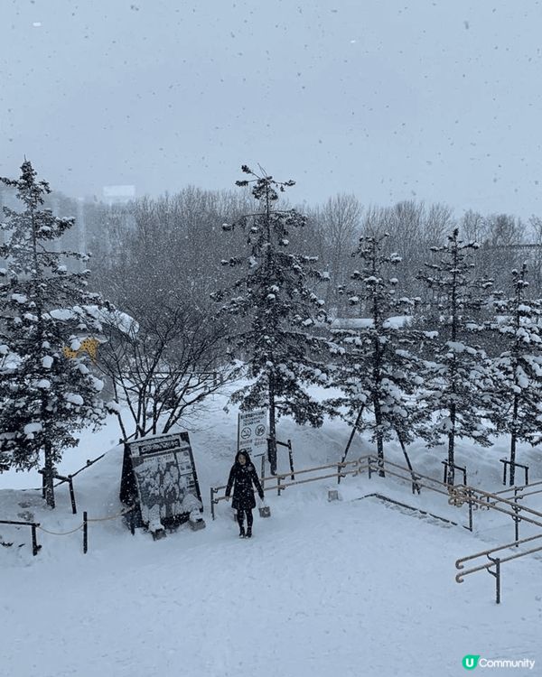 北海道的旭川市旭山動物園係一家大細都適宜既行程，有企鵝散步、...