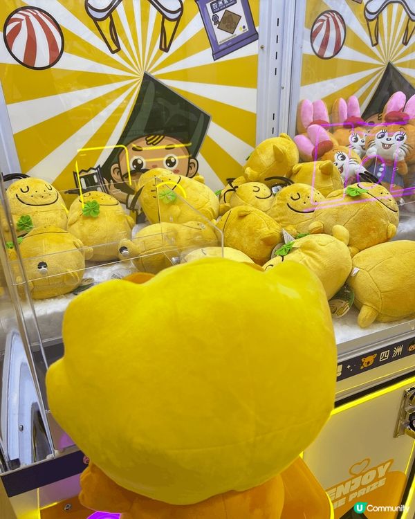 夾公仔夾到癲！🤩 帶埋摯愛去吸公仔！