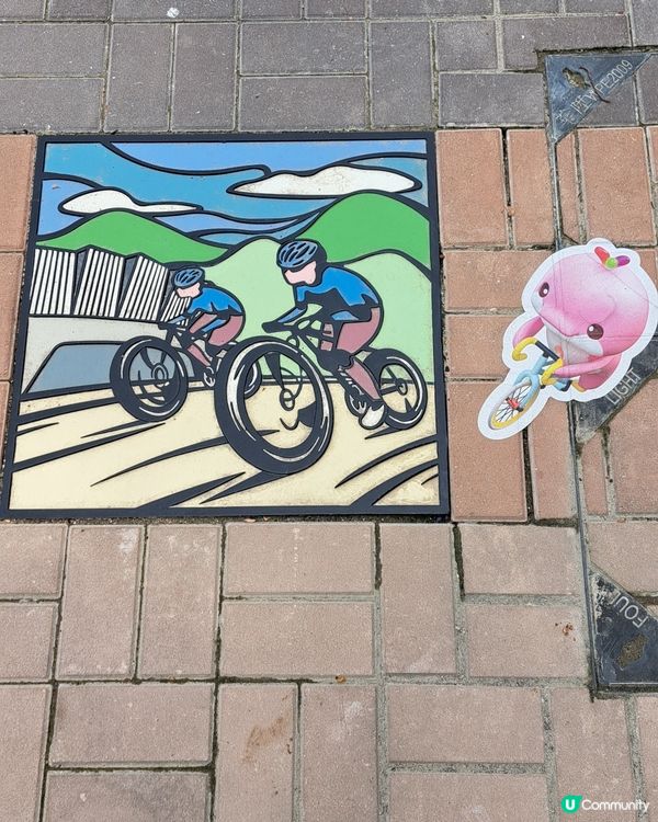 單車公園地上的特色渠蓋或地磚