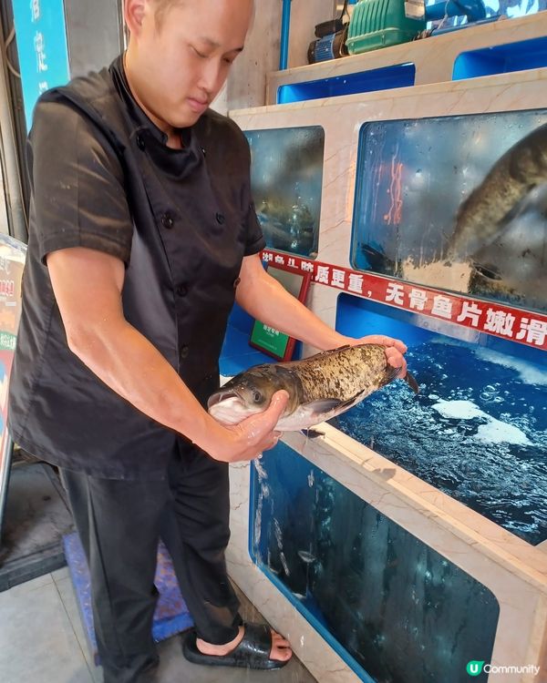 召集魚控！福田口岸必食一魚多食🐟🤤