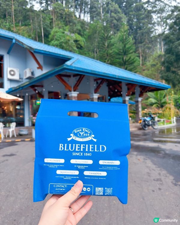 斯里蘭卡採茶妹的一天