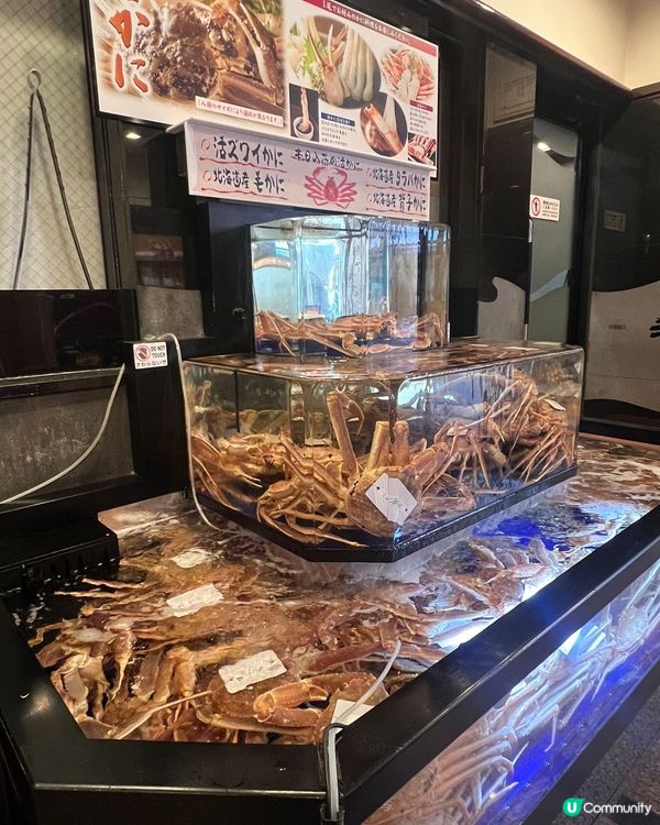 大阪蟹道樂午餐🍱超豐富蟹宴🦀🤤