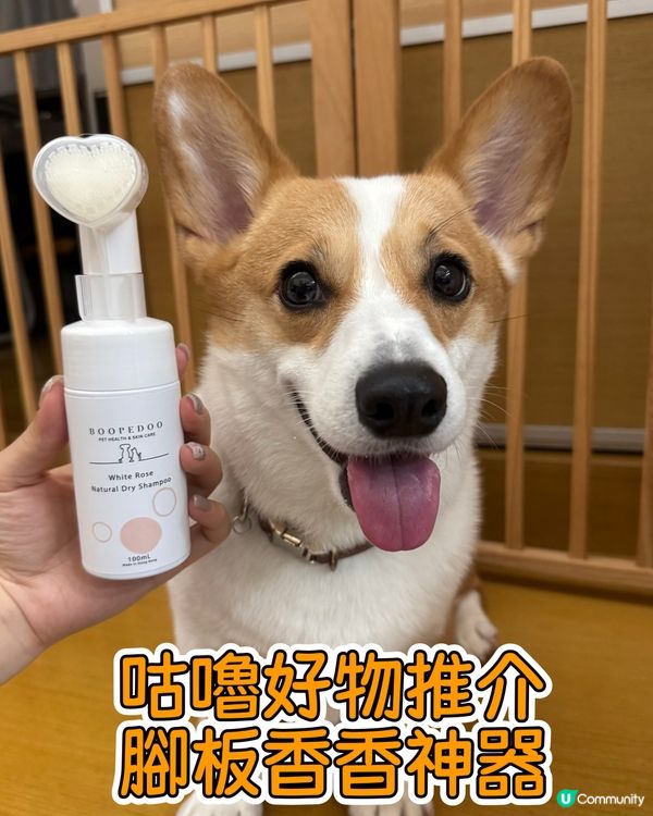 聞腳腳🤤！爆谷味變怪味點算？🤔 免沖洗泡泡幫到你🐾