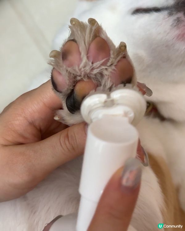 聞腳腳🤤！爆谷味變怪味點算？🤔 免沖洗泡泡幫到你🐾