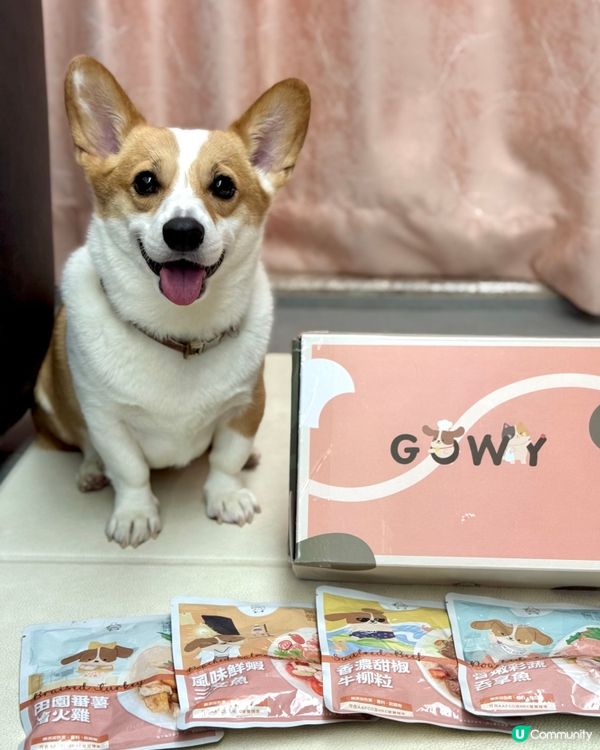 咕嚕試食報告！鮮食包開箱🤤 腸胃敏感都🆗