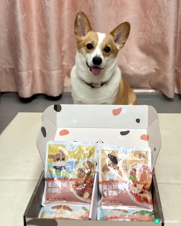 咕嚕試食報告！鮮食包開箱🤤 腸胃敏感都🆗