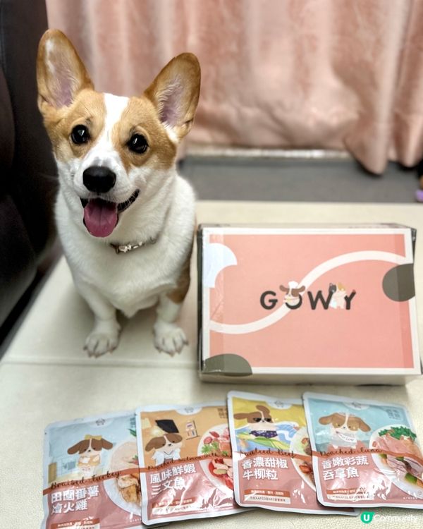 咕嚕試食報告！鮮食包開箱🤤 腸胃敏感都🆗