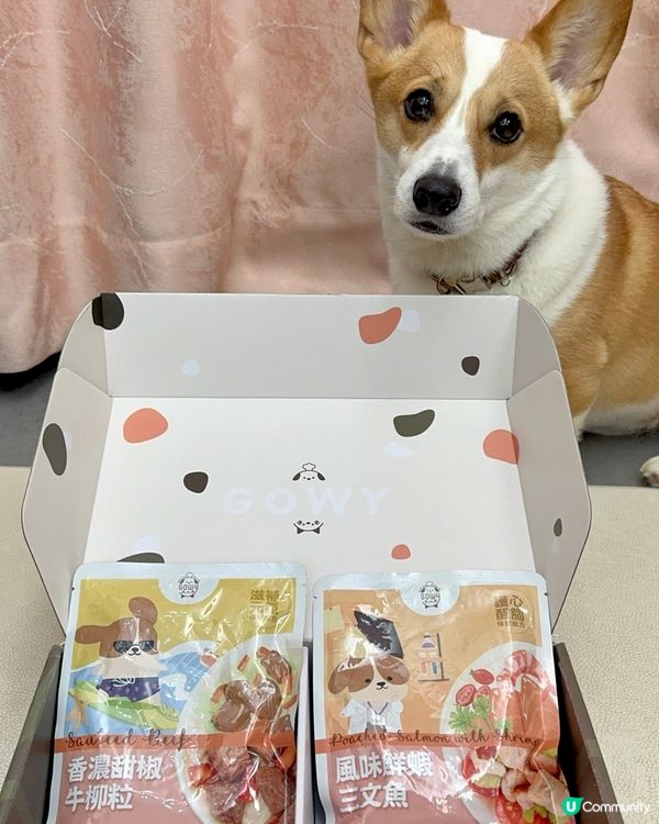 咕嚕試食報告！鮮食包開箱🤤 腸胃敏感都🆗