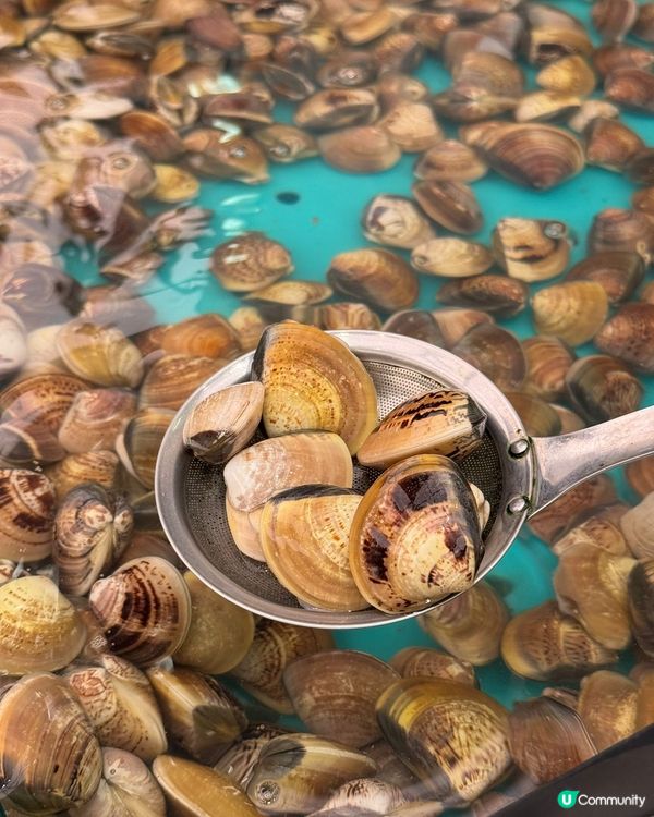 千海放題🤤海鮮控必去！任撈任食！🦀🦐