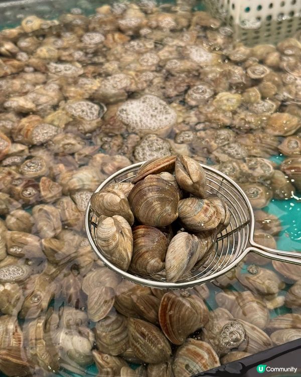 千海放題🤤海鮮控必去！任撈任食！🦀🦐