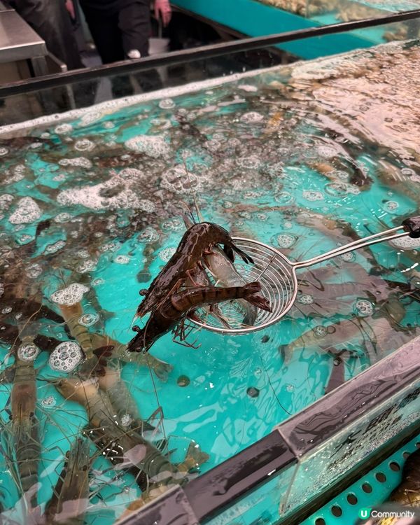 千海放題🤤海鮮控必去！任撈任食！🦀🦐