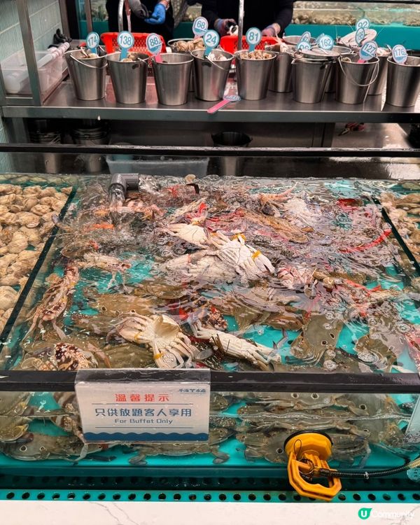千海放題🤤海鮮控必去！任撈任食！🦀🦐