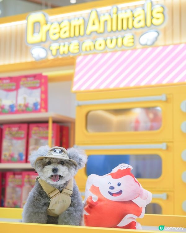 大家知唔知動物餅有冇樹熊🐨呢🧐?