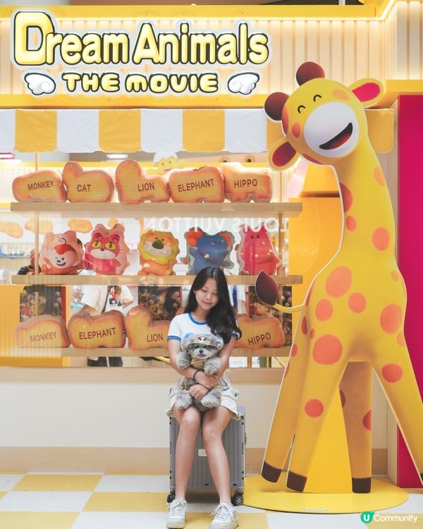 大家知唔知動物餅有冇樹熊🐨呢🧐?