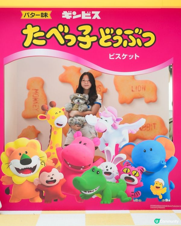 大家知唔知動物餅有冇樹熊🐨呢🧐?