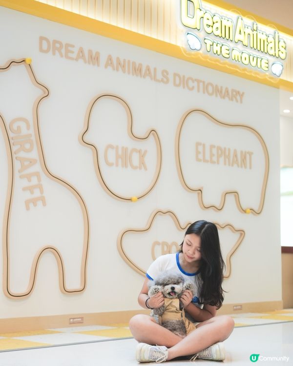 大家知唔知動物餅有冇樹熊🐨呢🧐?