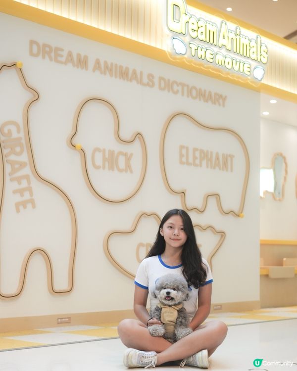 大家知唔知動物餅有冇樹熊🐨呢🧐?