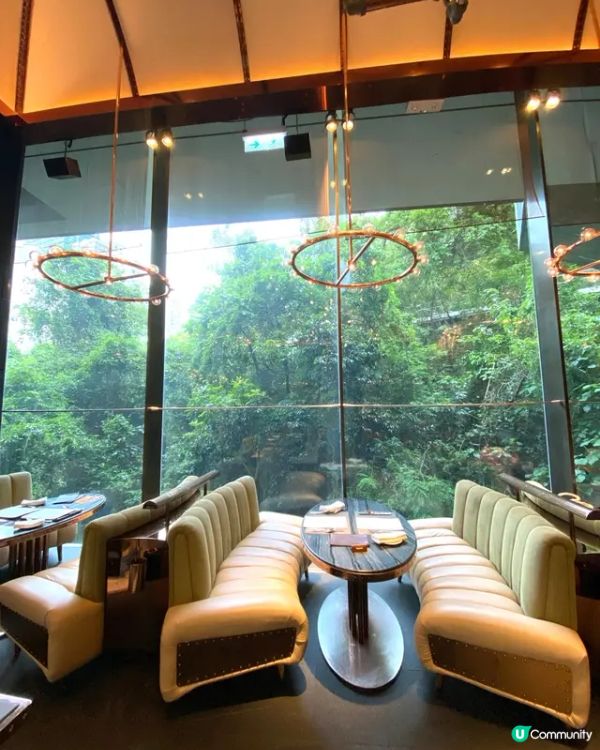 🌟北歐風精緻晚餐