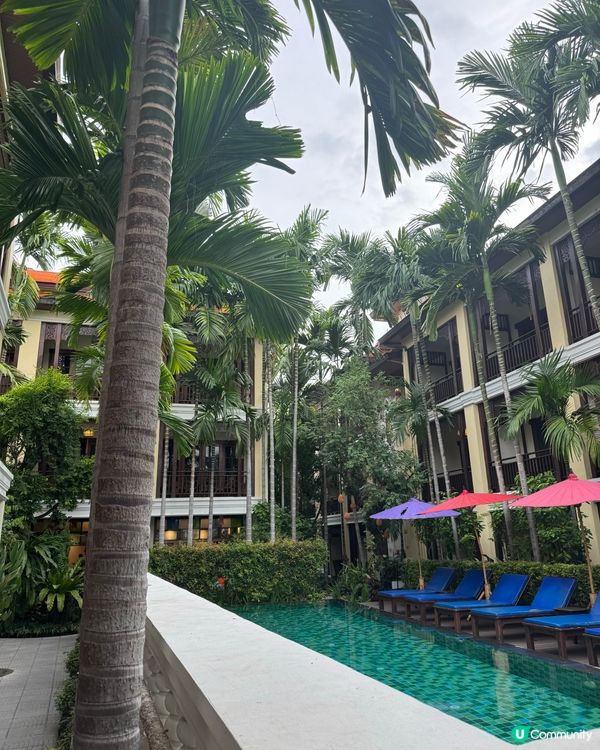 清邁旅行住宿推介🌴