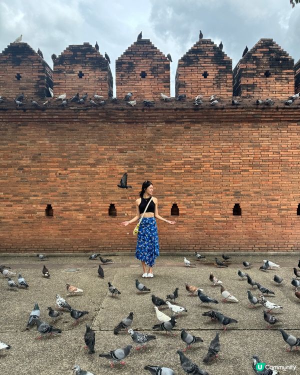 清邁古城門打卡📸！穿越時空之旅🏯！