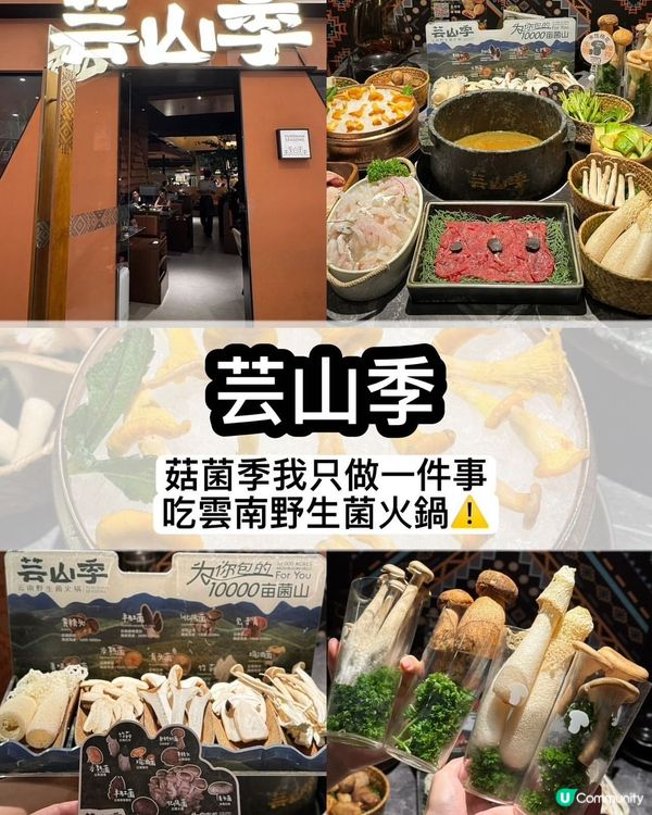 菇菌控注意！深圳必食雲南菌鍋🔥🤤 @芸山季