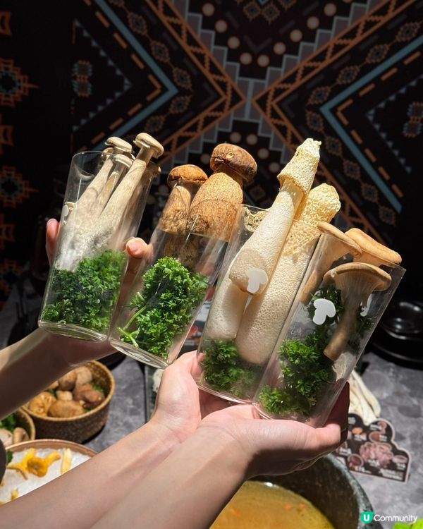 菇菌控注意！深圳必食雲南菌鍋🔥🤤 @芸山季