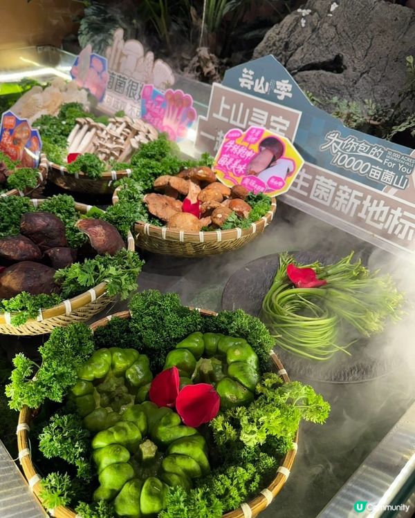 菇菌控注意！深圳必食雲南菌鍋🔥🤤 @芸山季