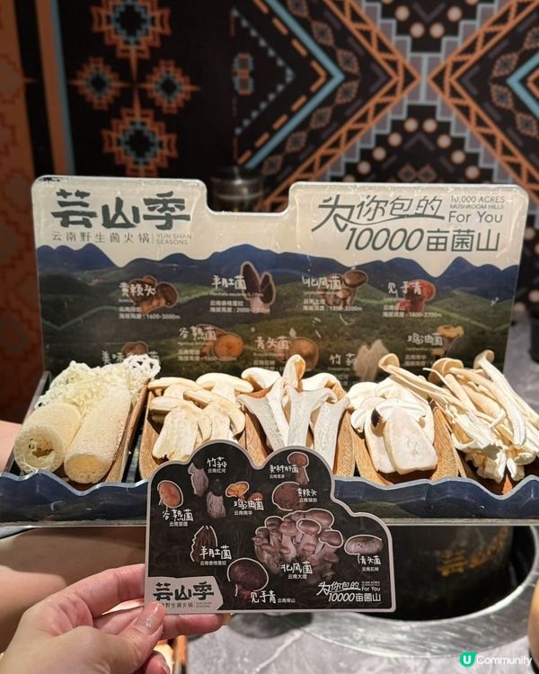 菇菌控注意！深圳必食雲南菌鍋🔥🤤 @芸山季