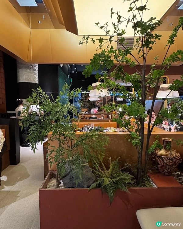 菇菌控注意！深圳必食雲南菌鍋🔥🤤 @芸山季