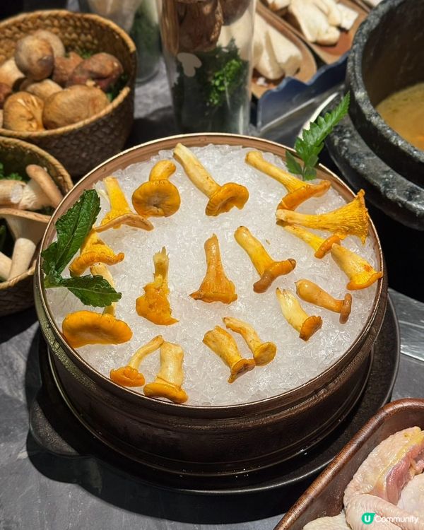 菇菌控注意！深圳必食雲南菌鍋🔥🤤 @芸山季